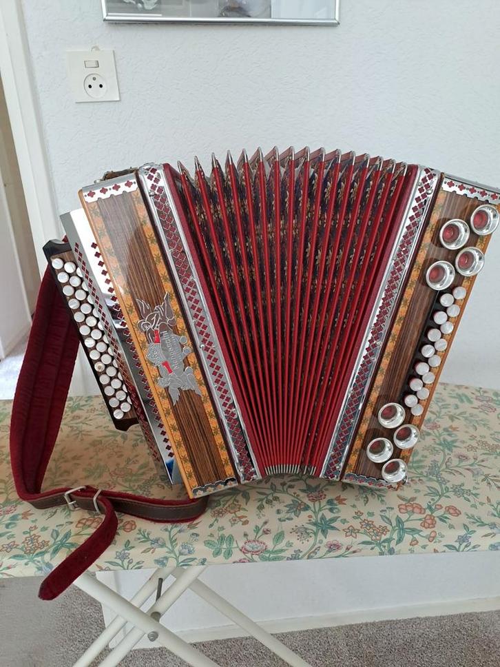 STEIER MENGASINI, Muziek en Instrumenten, Accordeons, Met koffer, Ophalen