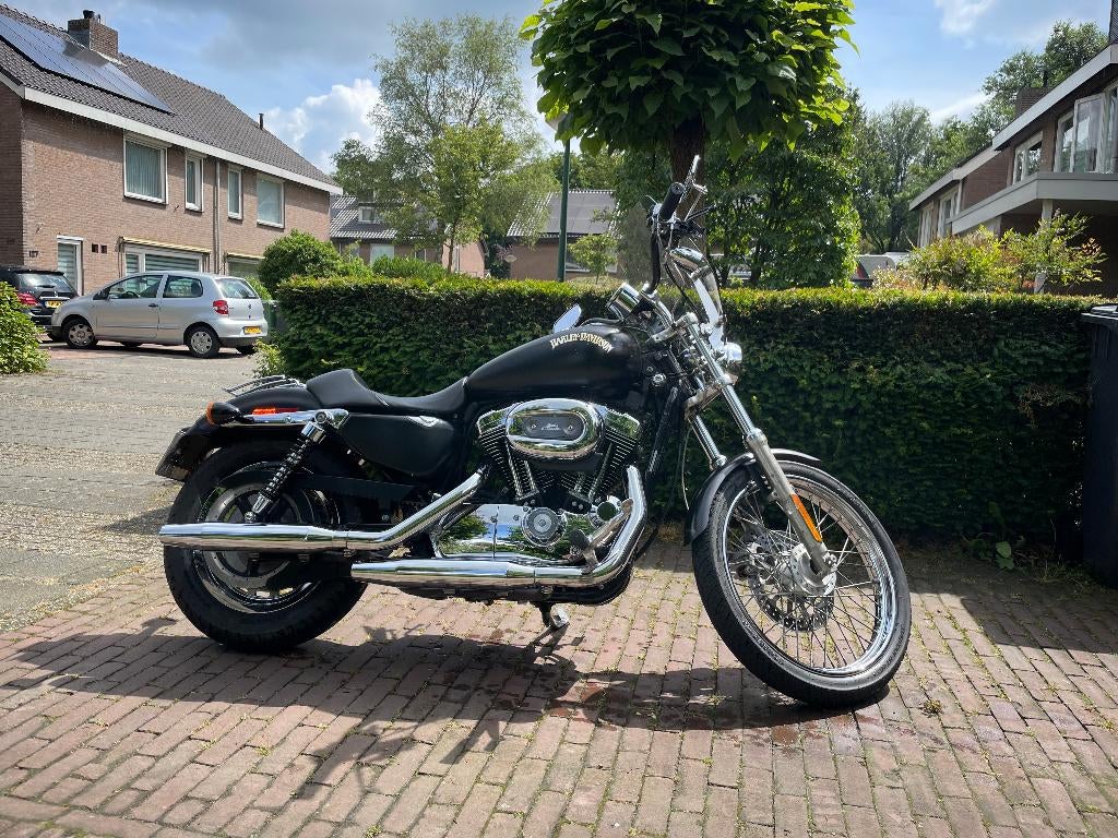 XL1200c sportster, Motoren, Motoren | Harley-Davidson, Particulier, Chopper, meer dan 35 kW, 2 cilinders, Motorrijbewijs A, Handgeschakeld