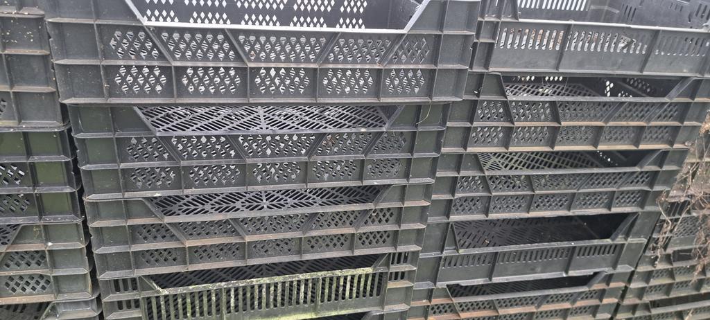 Veenmankisten 60x40 zwart, Ophalen, Zo goed als nieuw, Kweekbak