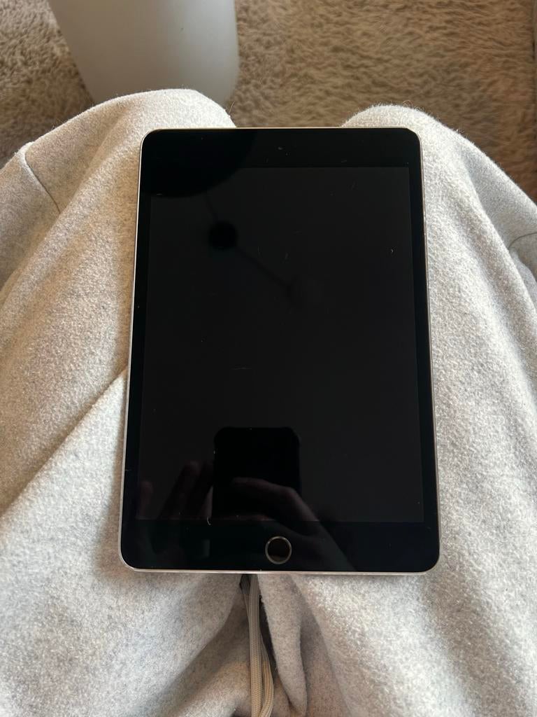 iPad Mini 4, Computers en Software, Apple iPads, Ophalen, Gebruikt, Grijs, 7 inch of minder