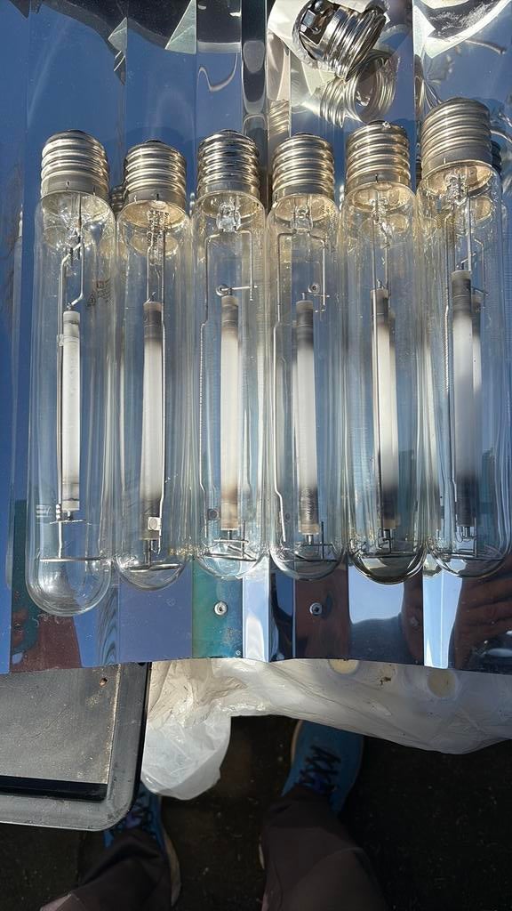 Philips lampen 600 watt.  6 stuks, Ophalen of Verzenden, Nieuw, E27 (groot)