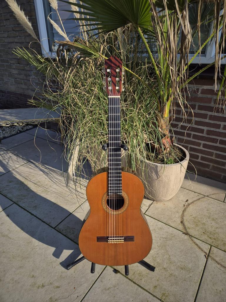 Hiroshi Tamura  P40 Concertgitaar, Muziek en Instrumenten, Snaarinstrumenten | Gitaren | Akoestisch, Ophalen, Gebruikt, Klassieke of Spaanse gitaar