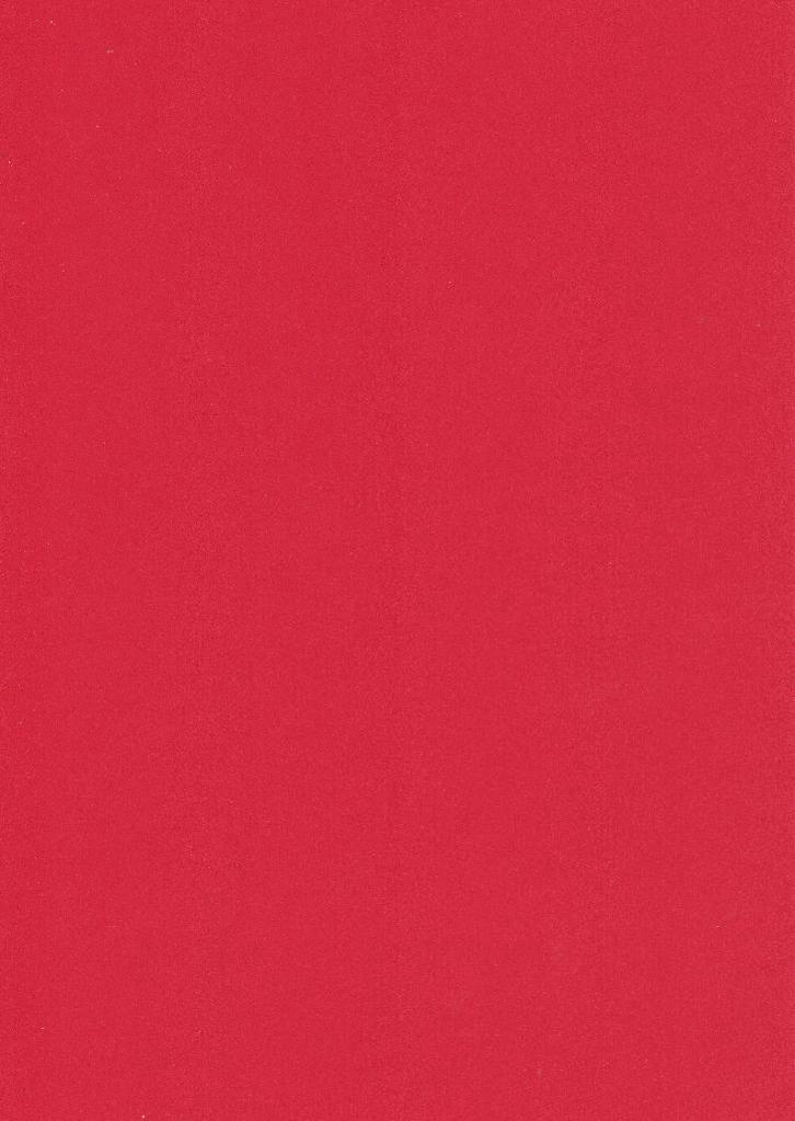 Rainbow papier rood A4 (21 x 29,7 cm) 10 vellen 160 grams, Hobby en Vrije tijd, Scrapbooking, Nieuw, Papier of Karton, Overige merken