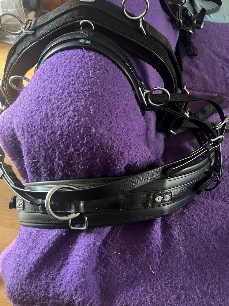 Net mentuig cob, kunststof, direct gebruiksklaar, Dieren en Toebehoren, Paarden en Pony's | Hoofdstellen en Tuigage, Ophalen of Verzenden