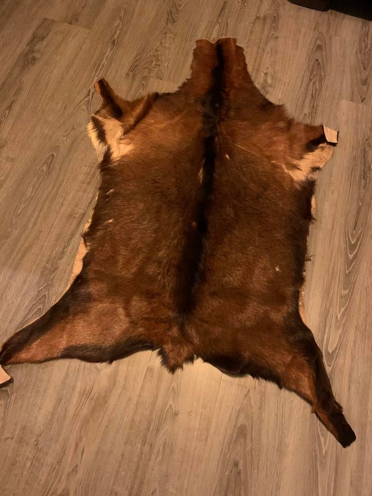 Vachtje geit. Echt!, 100 tot 150 cm, Bruin, Zo goed als nieuw, Rechthoekig