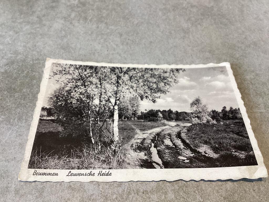 Brummen.      Leuvensche Heide, Ophalen of Verzenden, Gelderland