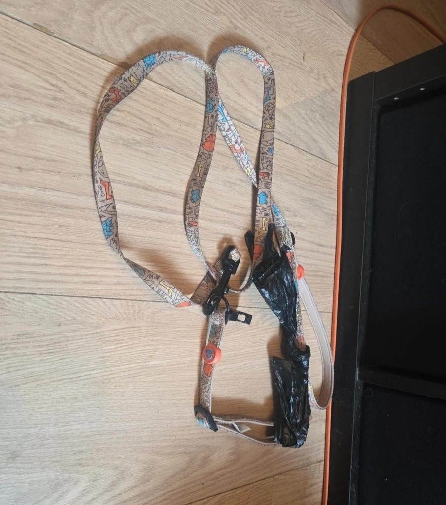 Halsband met riem, Dieren en Toebehoren, Ophalen of Verzenden, Gebruikt