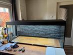 Juwel RIO 450 aquarium, Ophalen of Verzenden, Zo goed als nieuw, Leeg aquarium