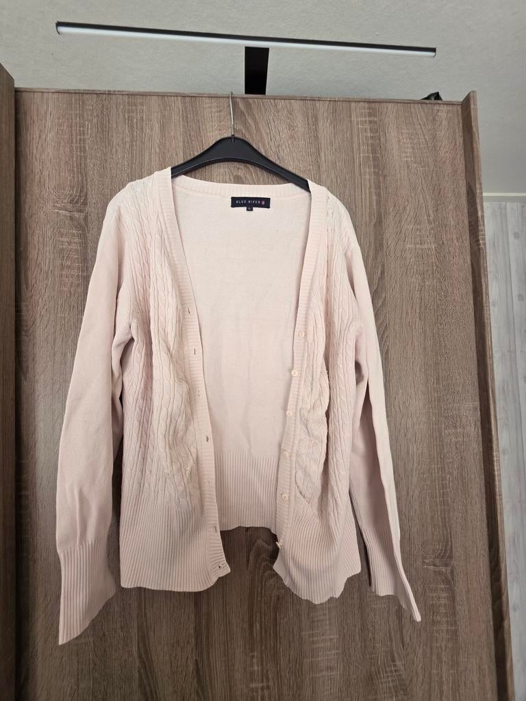 Roze dames vest, Ophalen of Verzenden, Zo goed als nieuw, Maat 46/48 (XL) of groter, Roze