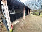 Mini-manège / kleinschalige paardenaccommodatie te huur, Weidegang, 4 paarden of pony's of meer