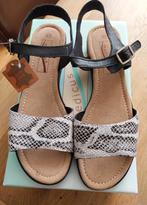 Medicus Sandalen Slangenprint Van Haren maat 41 NIEUW Leer, Medicus, Beige, Nieuw, Sandalen of Muiltjes
