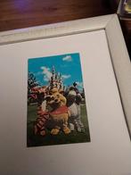 FANTASIALAND 1978. WALT DISNEY  WORLD, Verzamelen, Ansichtkaarten | Themakaarten, Ophalen of Verzenden, 1960 tot 1980, Sterren en Beroemdheden