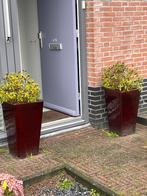 Grote vierkante bloempotten in goede staat., Ophalen, Gebruikt, 40 cm of meer, Vierkant