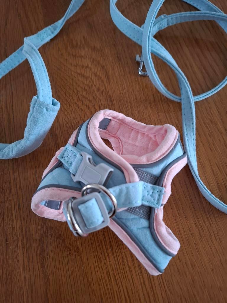 Kattentuigje voor kitten., Dieren en Toebehoren, Ophalen of Verzenden, Zo goed als nieuw