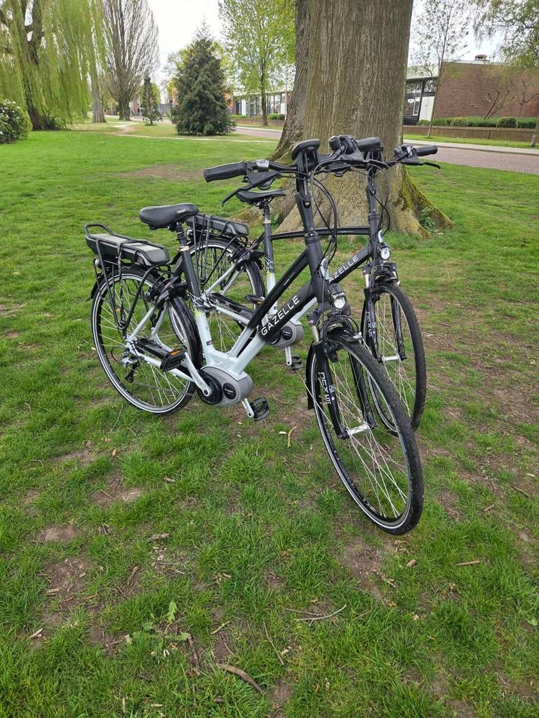 Twee Gazelle chamonix t10 fietsen, Ophalen, Gebruikt, 50 km per accu of meer, 55 tot 59 cm