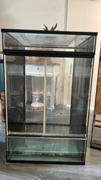 4x terraria 44x49x69,5 terrarium, Dieren en Toebehoren, Reptielen en Amfibieën | Toebehoren, Ophalen of Verzenden, Zo goed als nieuw