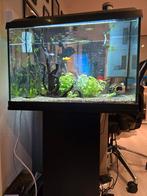 Juwel primo 60 compleet, Dieren en Toebehoren, Vissen | Aquaria en Toebehoren, Ophalen, Juwel