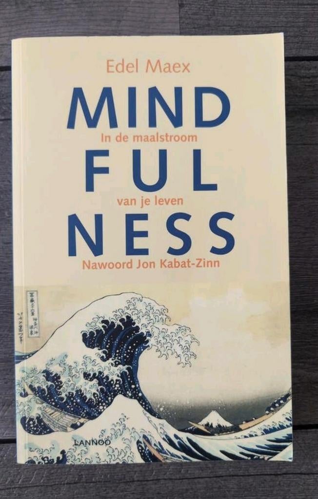 Mindfulness - Edel Maex ISBN 9789020965162, Boeken, Esoterie en Spiritualiteit, Ophalen of Verzenden, Gelezen, Meditatie of Yoga