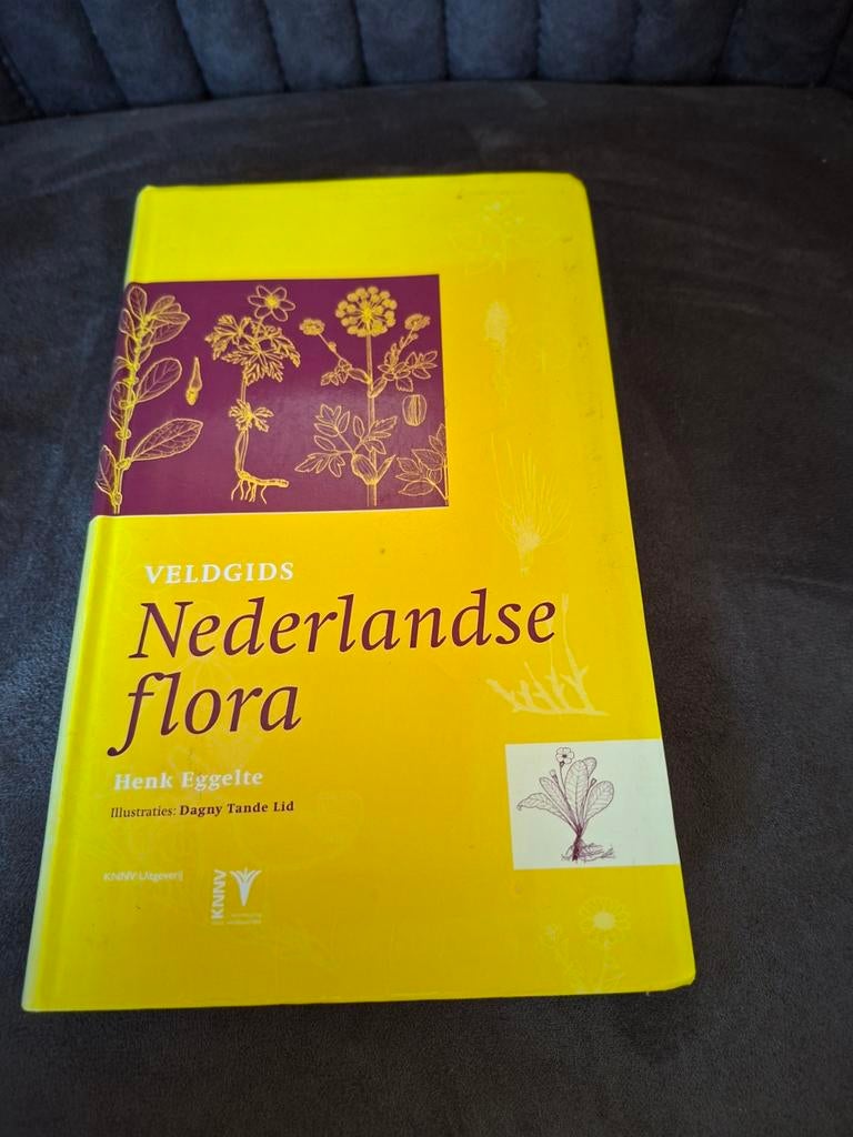 Veldgids Nederlandse Flora - Henk Eggelte, Boeken, Natuur, Ophalen of Verzenden, Gelezen, Bloemen, Planten en Bomen, Henk Eggelte
