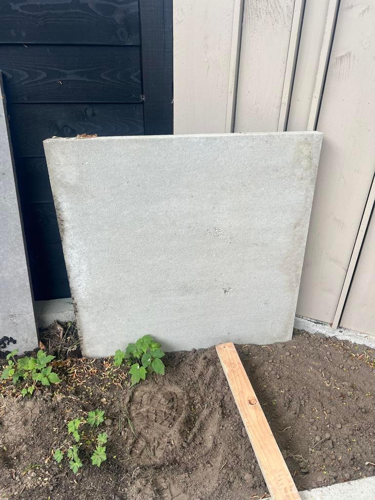 Gratis af te halen 1 schellevis tegel 80x80, Ophalen, Nieuw, Beton, Terrastegels