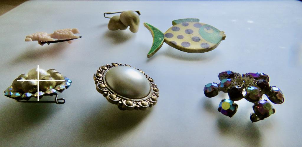 Broche, Ophalen of Verzenden, Zo goed als nieuw, Minder dan 4 cm, Overige materialen