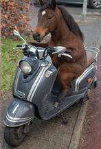 2 scooters: BTC Riva 2017 en La Souris Trendy Retro 2014, Ophalen of Verzenden, Gebruikt, Overige typen, Overige merken