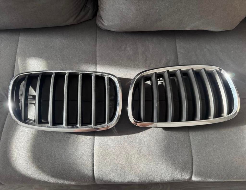 BMW Nierengrille x6, Gebruikt, Voor, Ophalen of Verzenden, Bumper