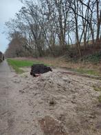 Ophoogzand | wit zand | Gratis af te halen, Tuin en Terras, Ophalen