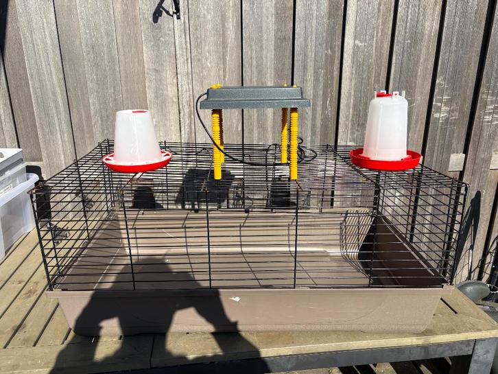 Kuikenhok + complete set toebehoren, Dieren en Toebehoren, Pluimvee | Toebehoren, Gebruikt, Drinken en Voederen, Ophalen of Verzenden