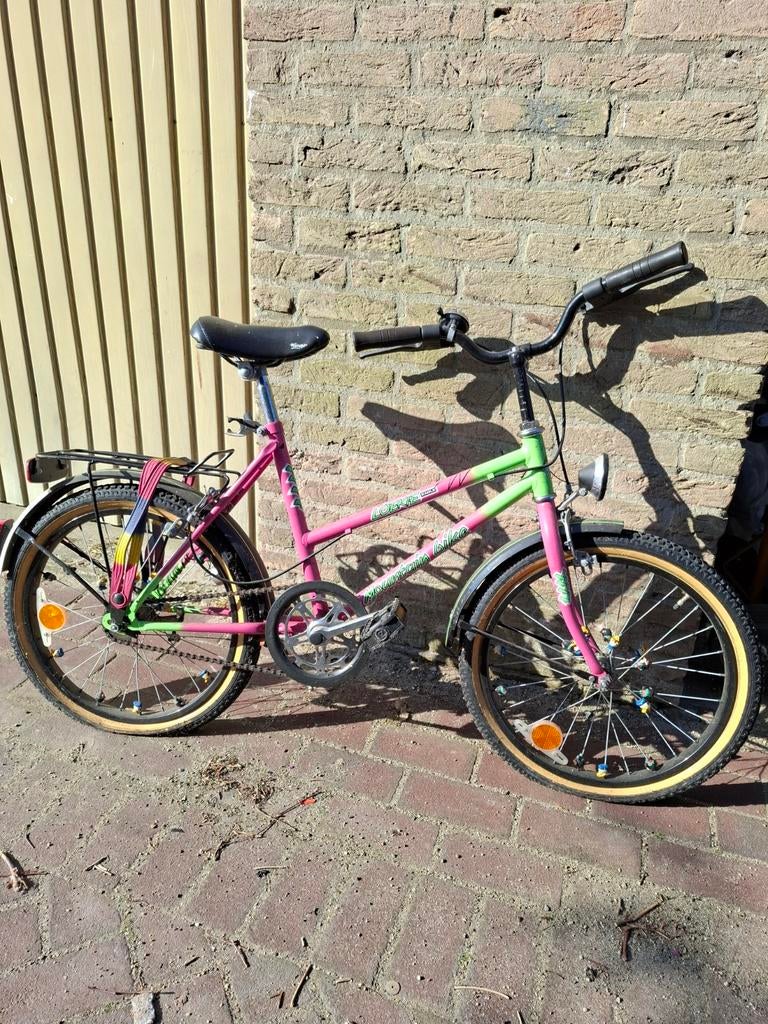 Leuke meisjesfiets - Opknapper met veel potentieel, Fietsen en Brommers, Fietsen | Meisjes, Ophalen