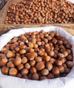 Hazelnoten uit Polen, oogst 2025, Diversen, Levensmiddelen, Ophalen of Verzenden