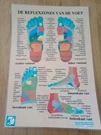 Poster Reflexzones van de voet, Ophalen of Verzenden, Zo goed als nieuw, A1 t/m A3, Rechthoekig Staand
