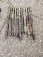 Weidepalen, Weidegang