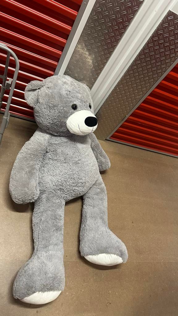 Grote grijze beer. Nieuw!, Ophalen, Gebruikt, Beer