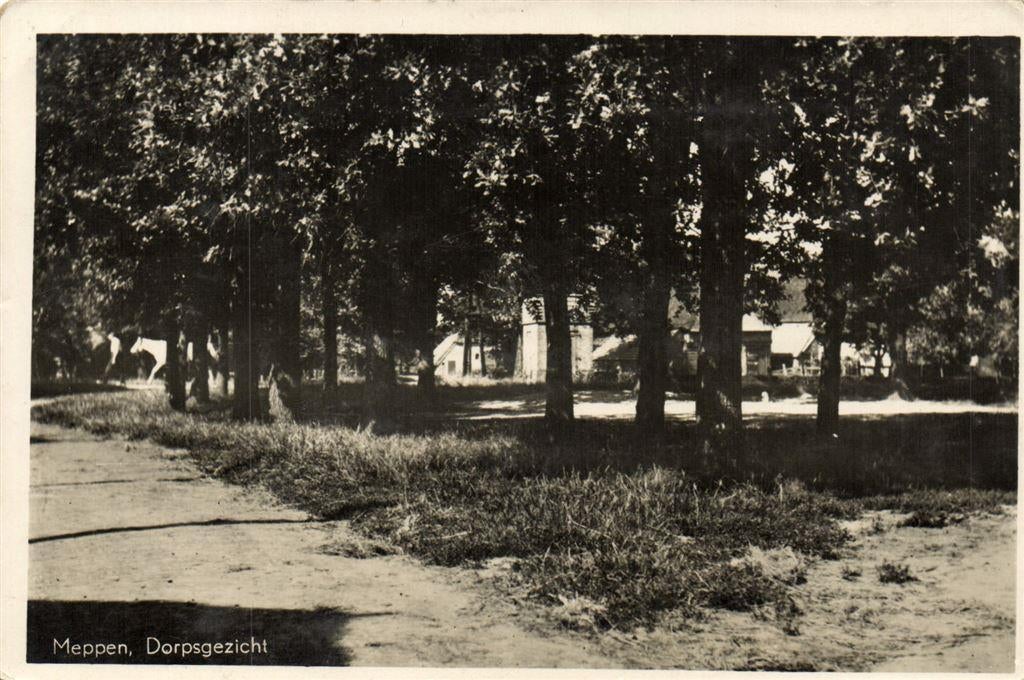 Meppen, Dorpsgezicht - 1949? gelopen, Verzamelen, Ansichtkaarten | Nederland, Gelopen, Noord-Brabant, Voor 1920, Ophalen of Verzenden