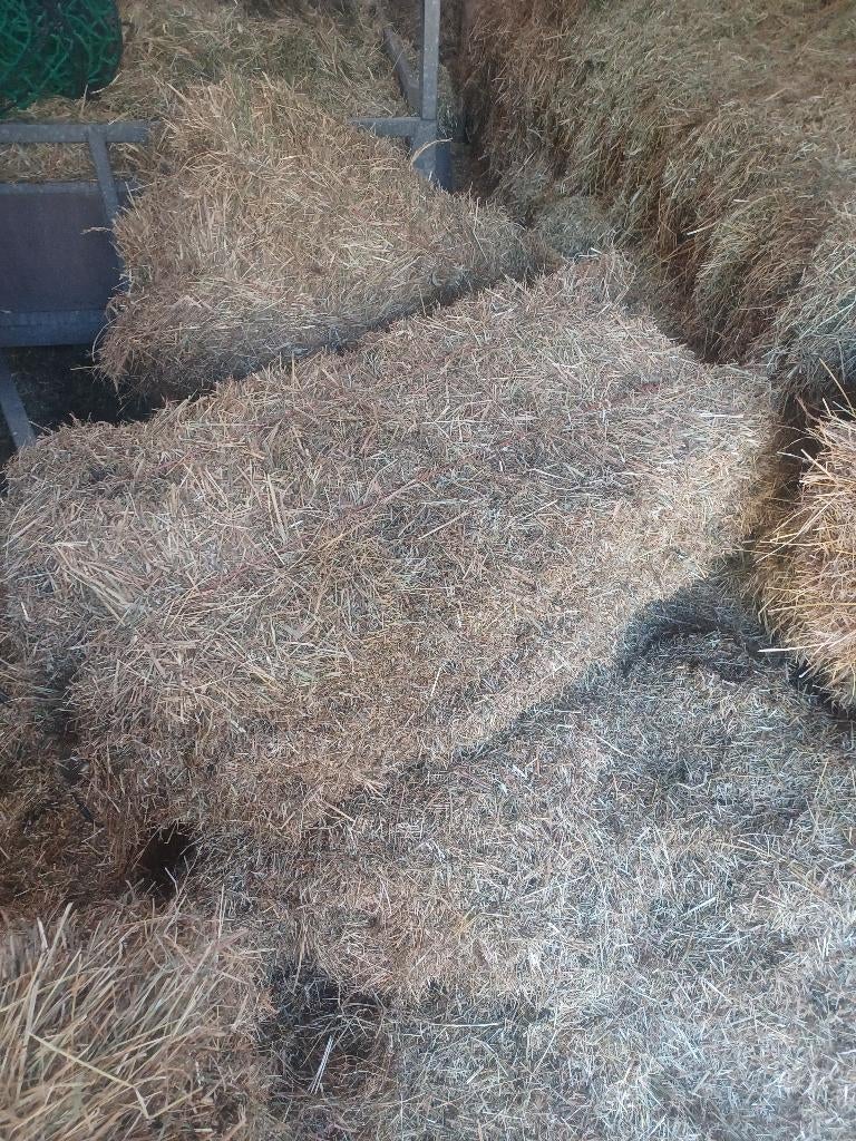 Hooi pakjes overjarig 1ste snee weidehooi, Dieren en Toebehoren, Ophalen, Vee
