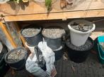 20 emmers basalt voor in de tuin, Tuin en Terras, Grind, Keien en Split, Ophalen, Gebruikt, Split, Basalt