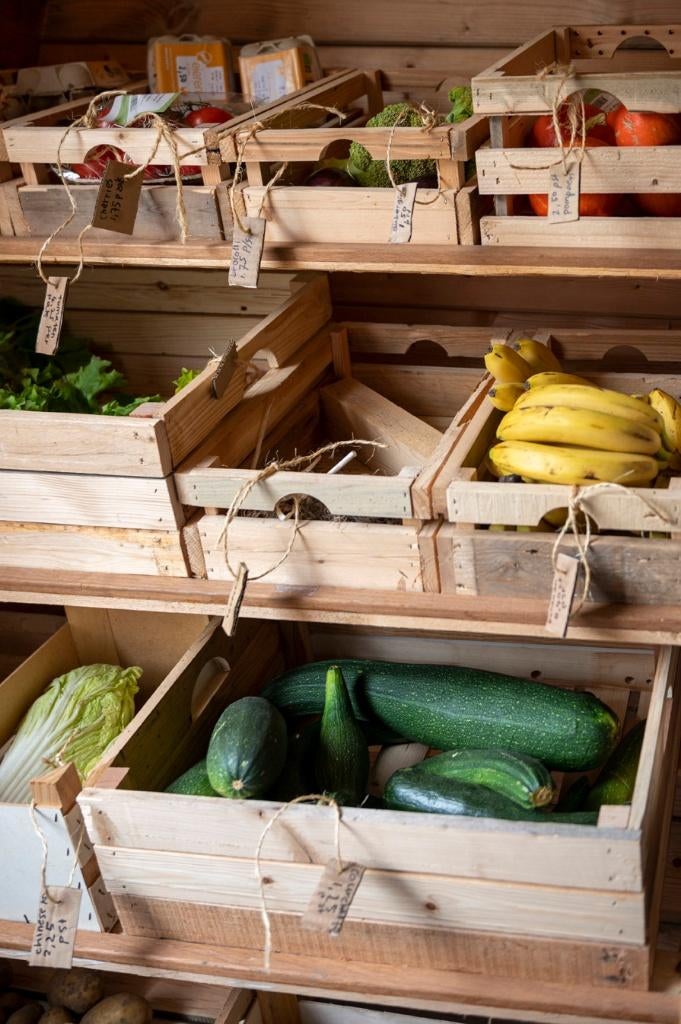 biologische groente en fruit., Ophalen of Verzenden