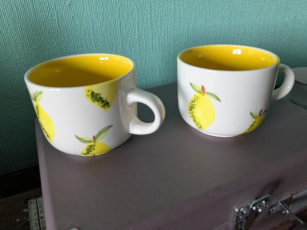 Soepkommen/koppen met citroenen, Huis en Inrichting, Keuken | Servies, Ophalen of Verzenden, Zo goed als nieuw, Keramiek