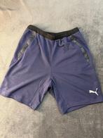 Puma shorts maat M nieuw met labels, Kleding | Heren, Cc, Cc, Fitness, Cc