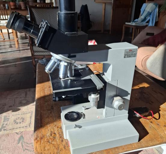 Leitz Wetzlar / Leica binoculaire microscoop – 4 objectieven, Ophalen of Verzenden, Zo goed als nieuw, 1000x of meer, Biologische microscoop
