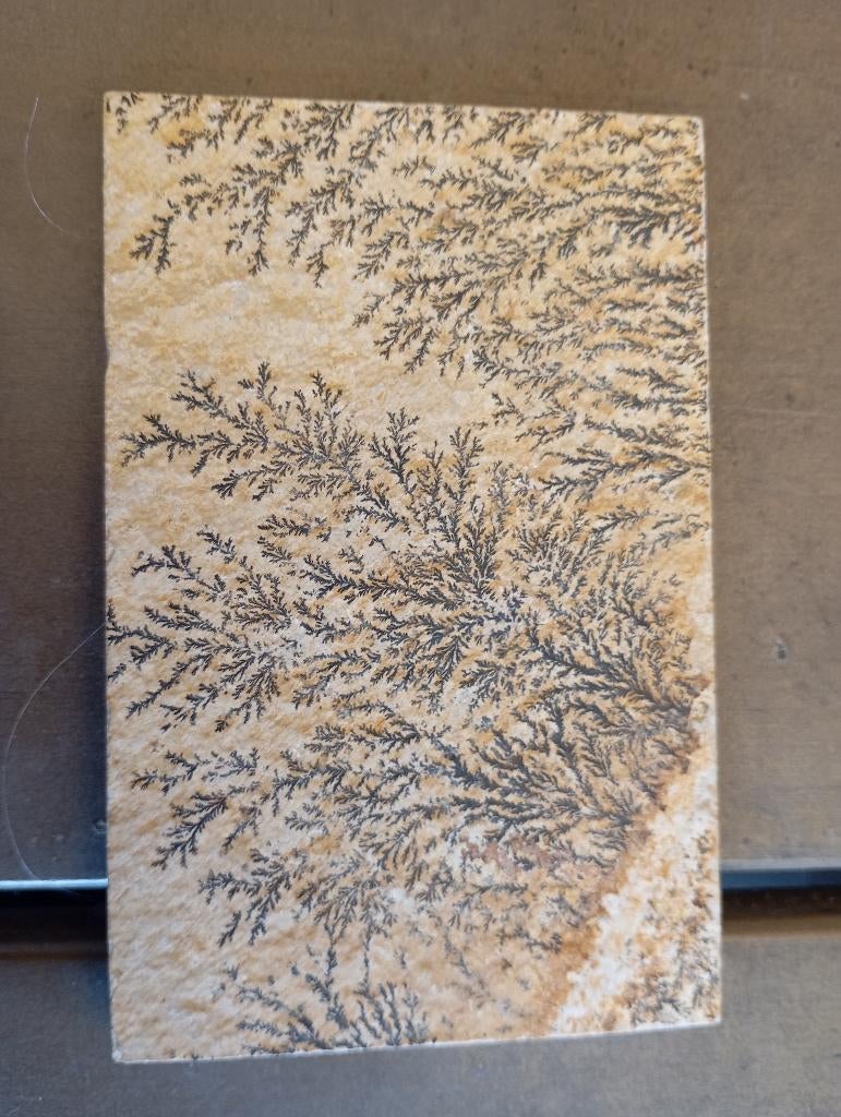 Dendrieten, Ophalen of Verzenden, Fossiel