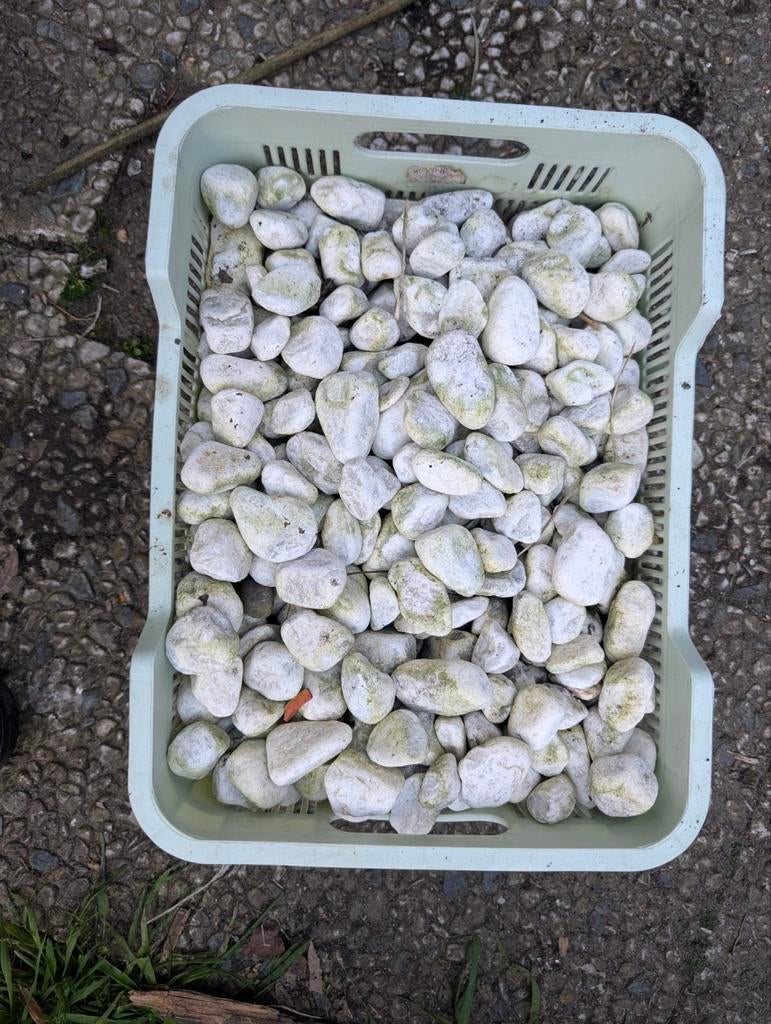 Witte kiezelstenen voor in de tuin, Tuin en Terras, Grind, Keien en Split, Ophalen of Verzenden