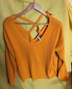 Mooie vesten/truien/jasje, Kleding | Dames, Truien en Vesten, Ophalen of Verzenden, Zo goed als nieuw