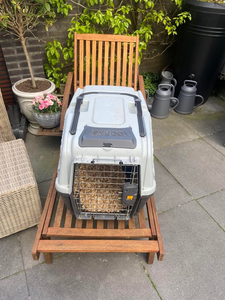 Skudo transport box, Ophalen of Verzenden, Zo goed als nieuw