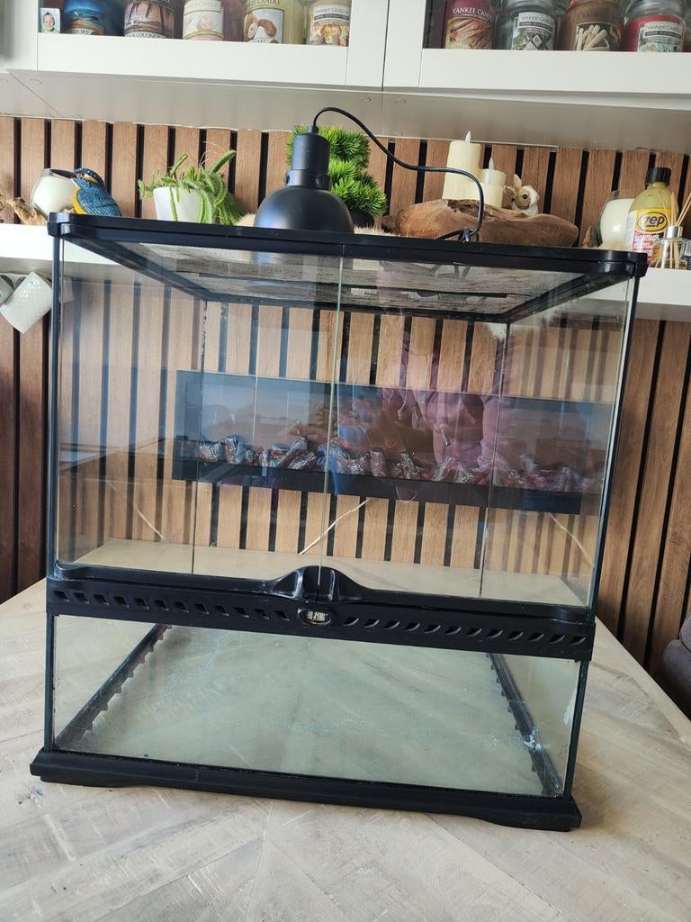 Exo Terra 45x45x45, Ophalen of Verzenden, Gebruikt, Terrarium of Paludarium