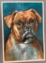 Boxer, Ophalen of Verzenden, Ongelopen, Sterren en Beroemdheden