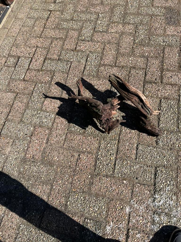 Aguarium hout, Dieren en Toebehoren, Ophalen of Verzenden, Zo goed als nieuw, Overige soorten