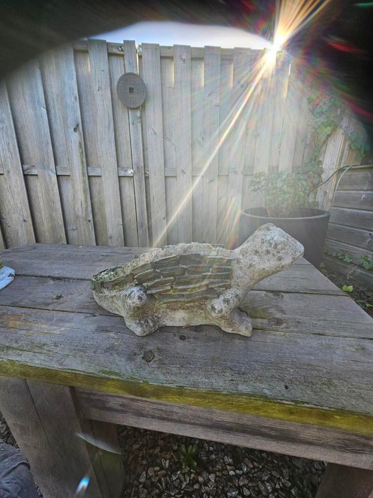 Te koop een hagedis van beton en steentjes., Ophalen, Overige typen