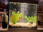 2x aquarium evt ruilen tegen tropische vissen mogelijk, Dieren en Toebehoren, Ophalen of Verzenden, Zo goed als nieuw, Leeg aquarium